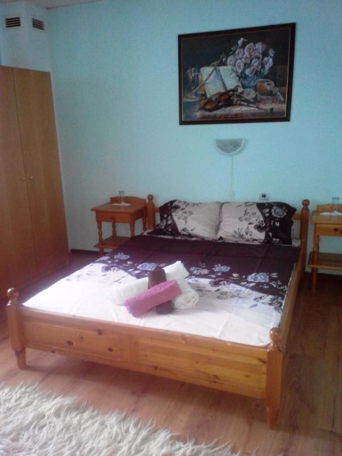 Гостевой дом Veselata Guest House Долна-Баня-15