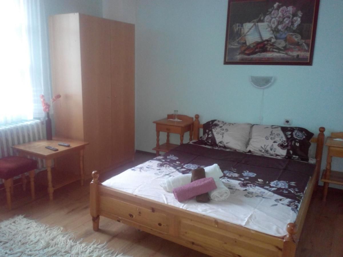 Гостевой дом Veselata Guest House Долна-Баня-11